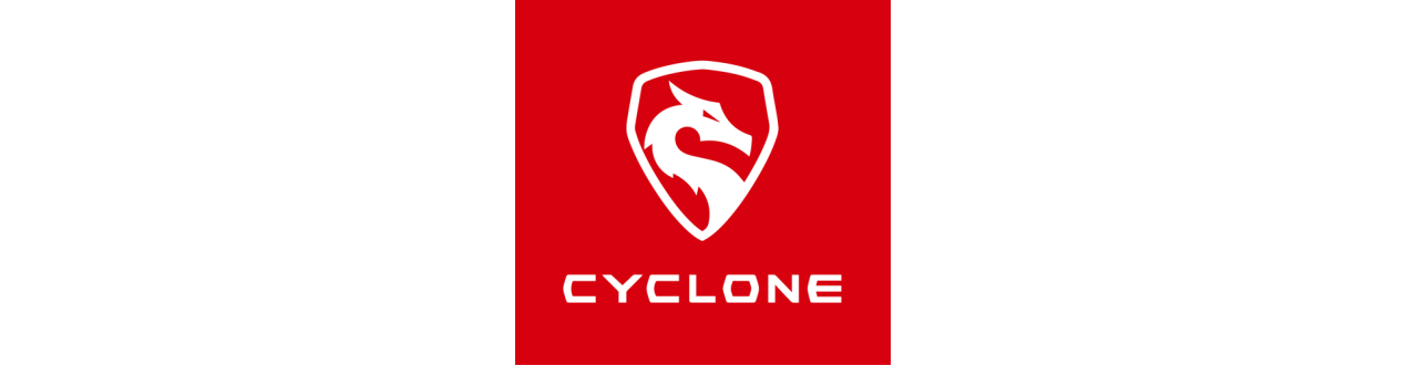 Cyclone Motor Ibérica - The power to inspire you!